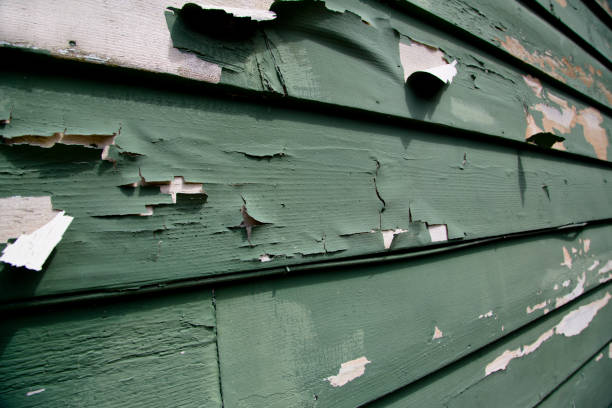 Affordable Siding Repair and Maintenance Services in Ocilla, GA