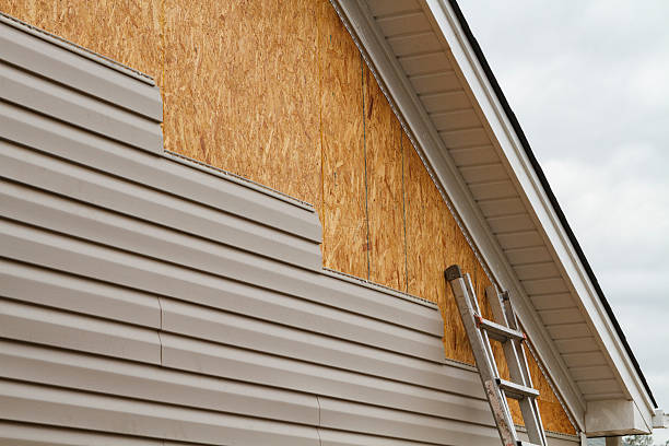 Best Historical Building Siding Restoration  in Ocilla, GA